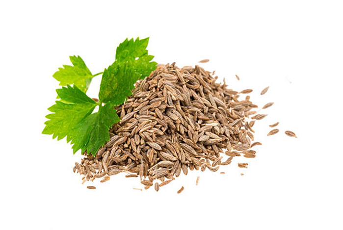Cumin Seed