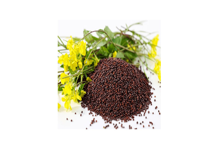 Black Mustard Seed